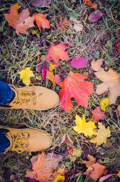 Випадкові унісексні чоботи з барвистим осіннім опалим листям . — стокове фото