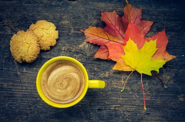 parlak sonbahar arkaplanı