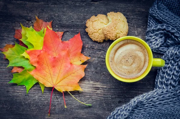 Sonbahar sakin bir hayat