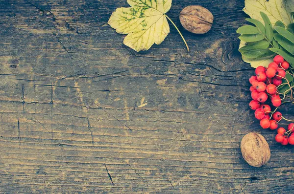 Şükran sonbahar arka plan