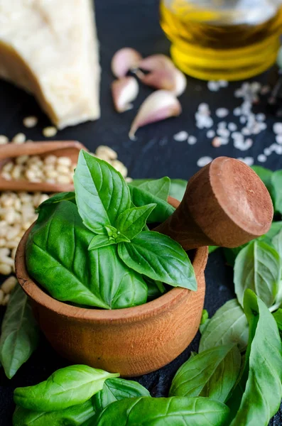 Yeşil fesleğen pesto malzemeler