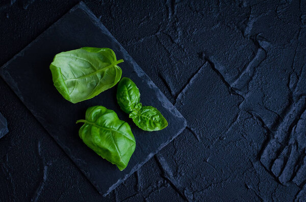 Green basil leaves