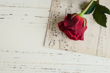 Beyaz eski püskü şık arka plan üzerinde kırmızı gül