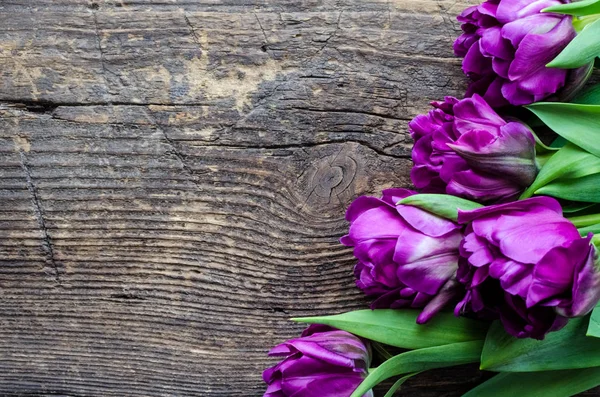 Tulipanes morados sobre fondo de madera — Foto de Stock