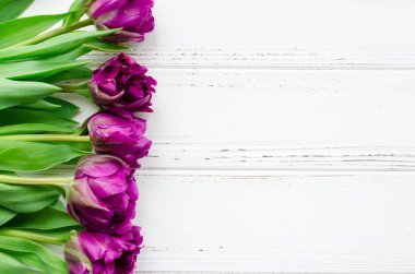 Mor ultraviyole Lale beyaz eski püskü şık ahşap zemin üzerinde. Sevgililer, anne, kadın gün ve tebrik kavramı. Banner şablon düzeni mockup post blog sosyal medya için. Üstten Görünüm. Kopya alanı.