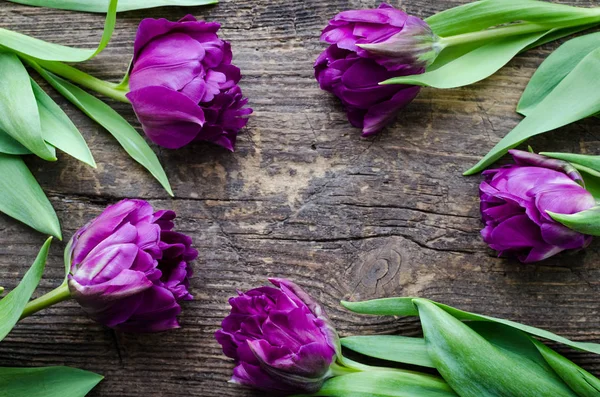 Flores Tulipán Ultravioleta Sobre Una Antigua Mesa Rústica Madera Con — Foto de Stock