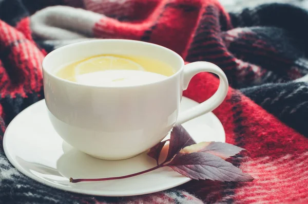 Cup of tea on red warm woolen blanket — Stock Photo, Image