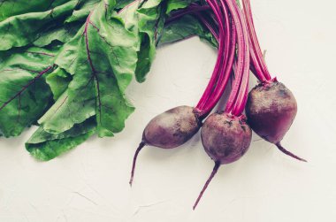 Beton arka planda genç pancarlar