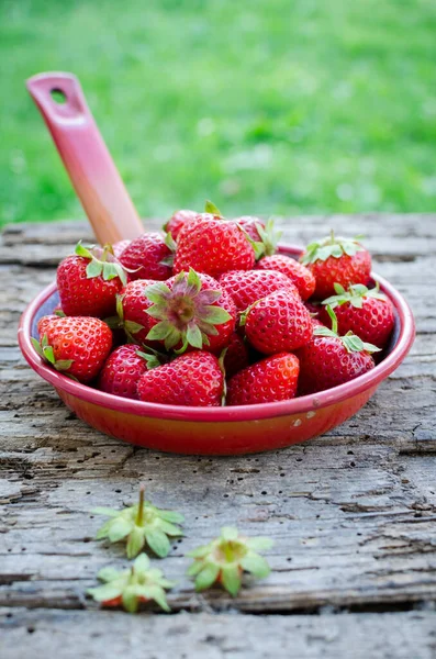 Metal colander filled with succulent juicy fresh ripe red strawberries — Stock Photo, Image