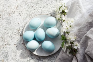Taze kiraz çiçekli mavi Paskalya yumurtaları. Paskalya kompozisyonu gri beton arka planda. Gıda boyasıyla doğal ekolojik lekeler. Üst görünüm.