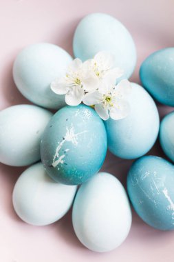 Taze kiraz çiçekli mavi Paskalya yumurtaları. Paskalya kompozisyonu gri beton arka planda. Gıda boyasıyla doğal ekolojik lekeler. Üst görünüm.