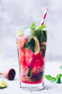 Rubarb, limon ve nane ile yaz ferahlatıcı içecek. Rubarb limonatası. Taze bahar rubarb mojito kokteyli..