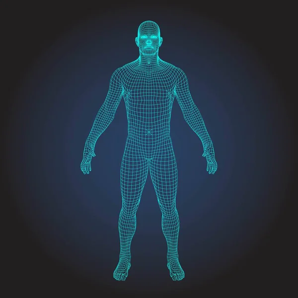 Трехмерный провод человеческого тела — стоковый вектор