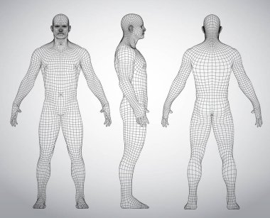 Download 3d Human Body Free Vector Eps Cdr Ai Svg Vector Illustration Graphic Art