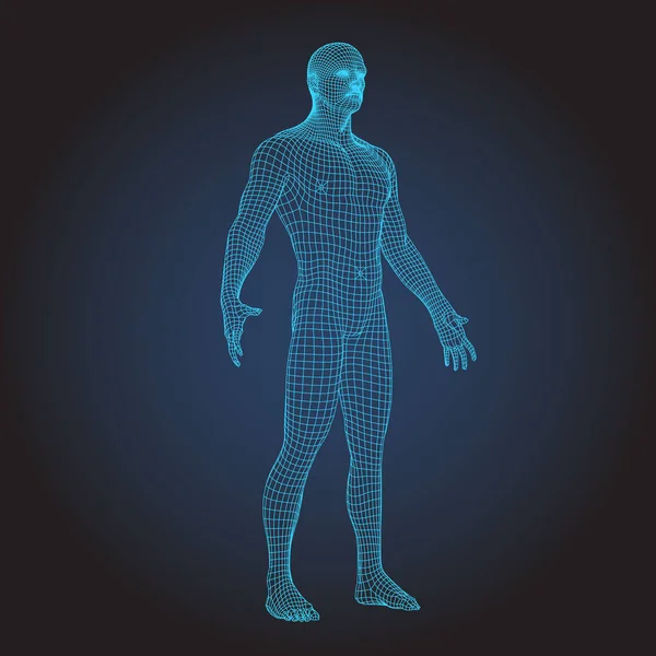 Marco de alambre 3D cuerpo humano cara completa — Vector de stock