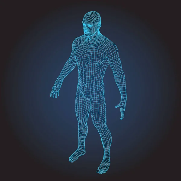 3D σύρμα πλαισίων ανθρώπινο σώμα ολόκληρου προσώπου — Διανυσματικό Αρχείο