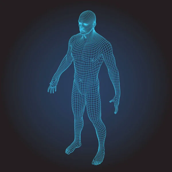 3D tel çerçeve insan vücudunun tam yüz