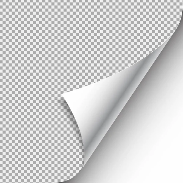 Coin en papier bouclé blanc avec ombre — Image vectorielle