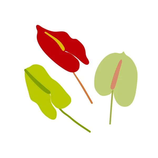 Düz çiçek. Yeşil, kırmızı çiçekler beyaz arka planda izole edilmiş. El yapımı minimalist bitkiler. Stilize edilmiş anthurium, calla. Trend bitki elementleri. Doğanın işareti, buket, hediye. Vektör illüstrasyonu