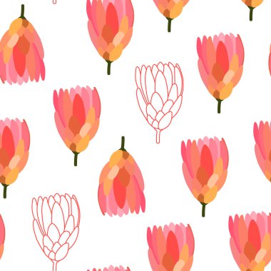Kusursuz çiçek vektör deseni. Beyaz arka planda izole edilmiş pembe Protea çiçekleri. Çizgiler, çiçekler, ambalaj kağıtları, kartlar, elbiseler, tekstil, düğünler, kadınlar ve anneler günü için çizimler