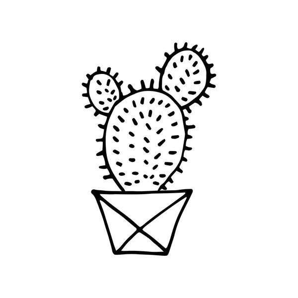 Doodle Cactus Dans Pot Facettes Succulent Rayé Dessiné Main Avec — Image vectorielle