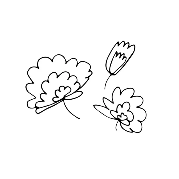 ドードルセットの花 概要白地に孤立した花や蕾です 花弁を持つ手描きの植物 スタイルの牡丹 チューリップ 女性のロマンチックな植物の要素 ベクターストックイラスト — ストックベクタ
