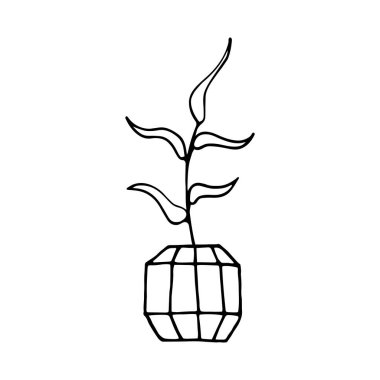 Saksıda karalama bitkisi. El yapımı yaprak ve polyester saksı. Beyaz arka planda izole edilmiş bir ev bitkisinin siyah çizgisi. Çokgen iç elementli şirin İskandinav illüstrasyonu