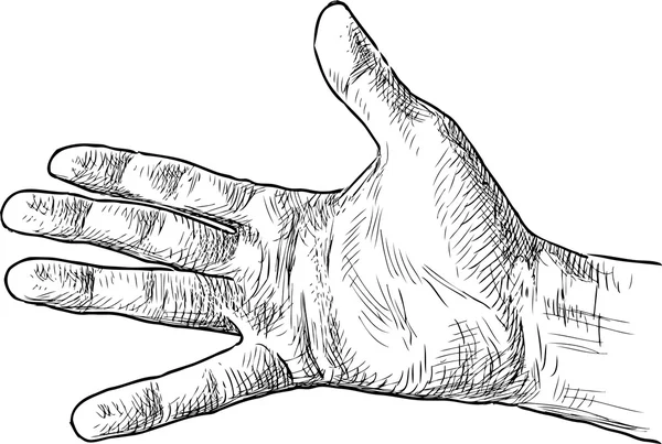 Handflata av manlig räcka — Stock vektor