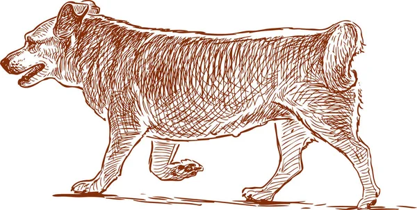 Boceto de un perro paseante — Vector de stock