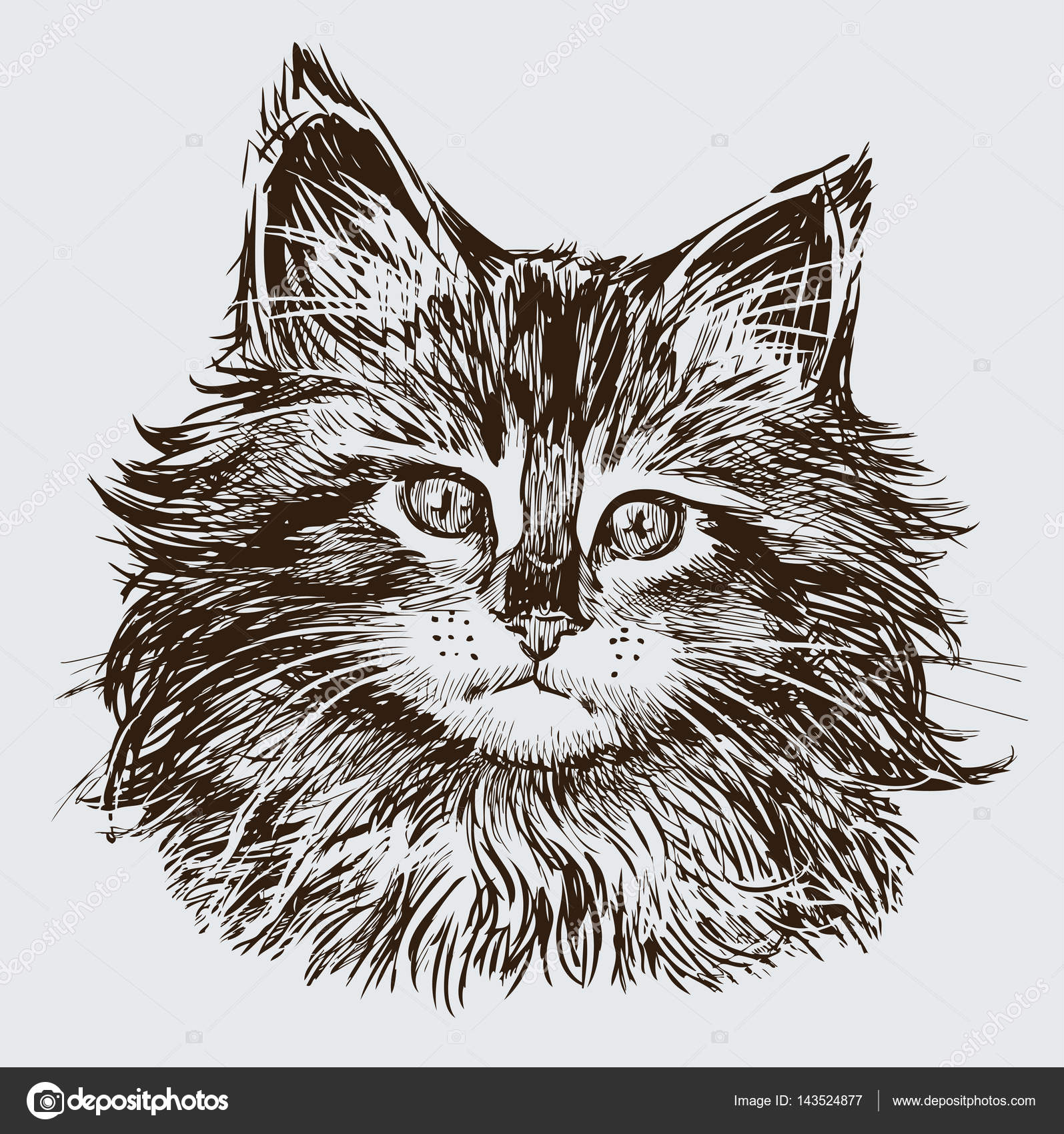 Página Mostra Como Aprender Desenhar Esboço Cabeça Gatos Criação Passo  imagem vetorial de Nataljacernecka© 536415528