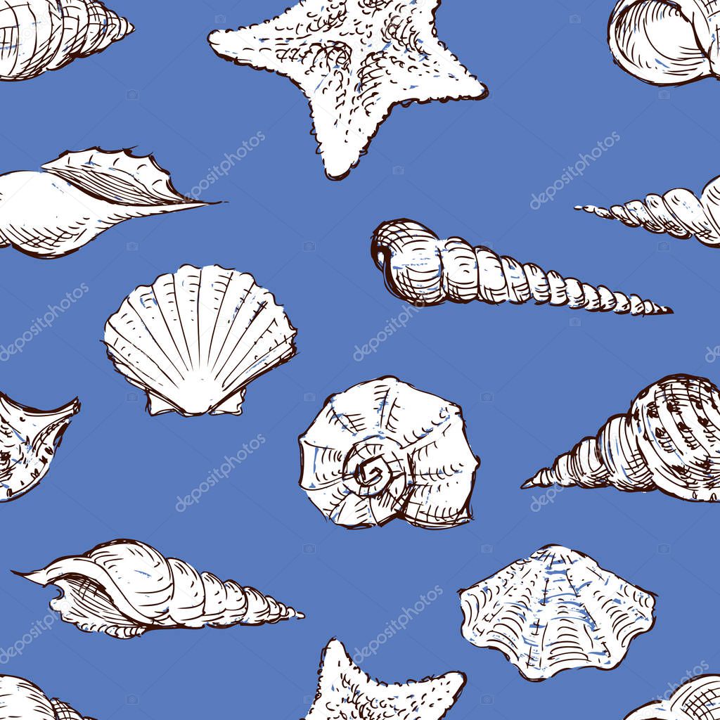 pattern of the different sea shells