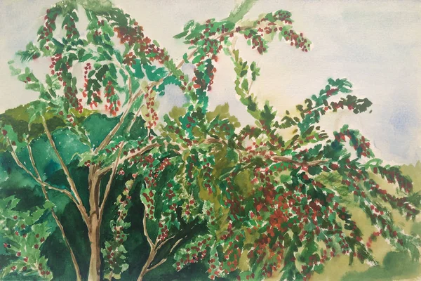 Watercolor drawing of the fruit trees — Stock Photo, Image