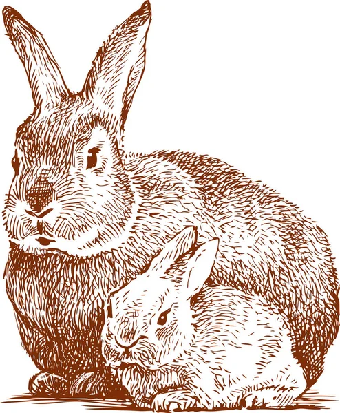 Il coniglio con il suo cucciolo — Vettoriale Stock