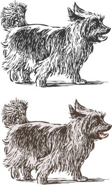 Bir yürüyüş bir kucak köpeği taslağını