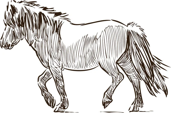 Bosquejo Pony Andante — Archivo Imágenes Vectoriales