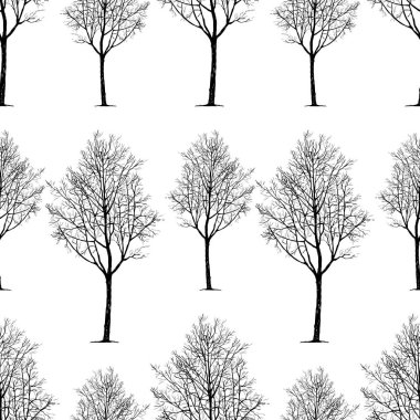 genç yaprak döken ağaçlar paterni