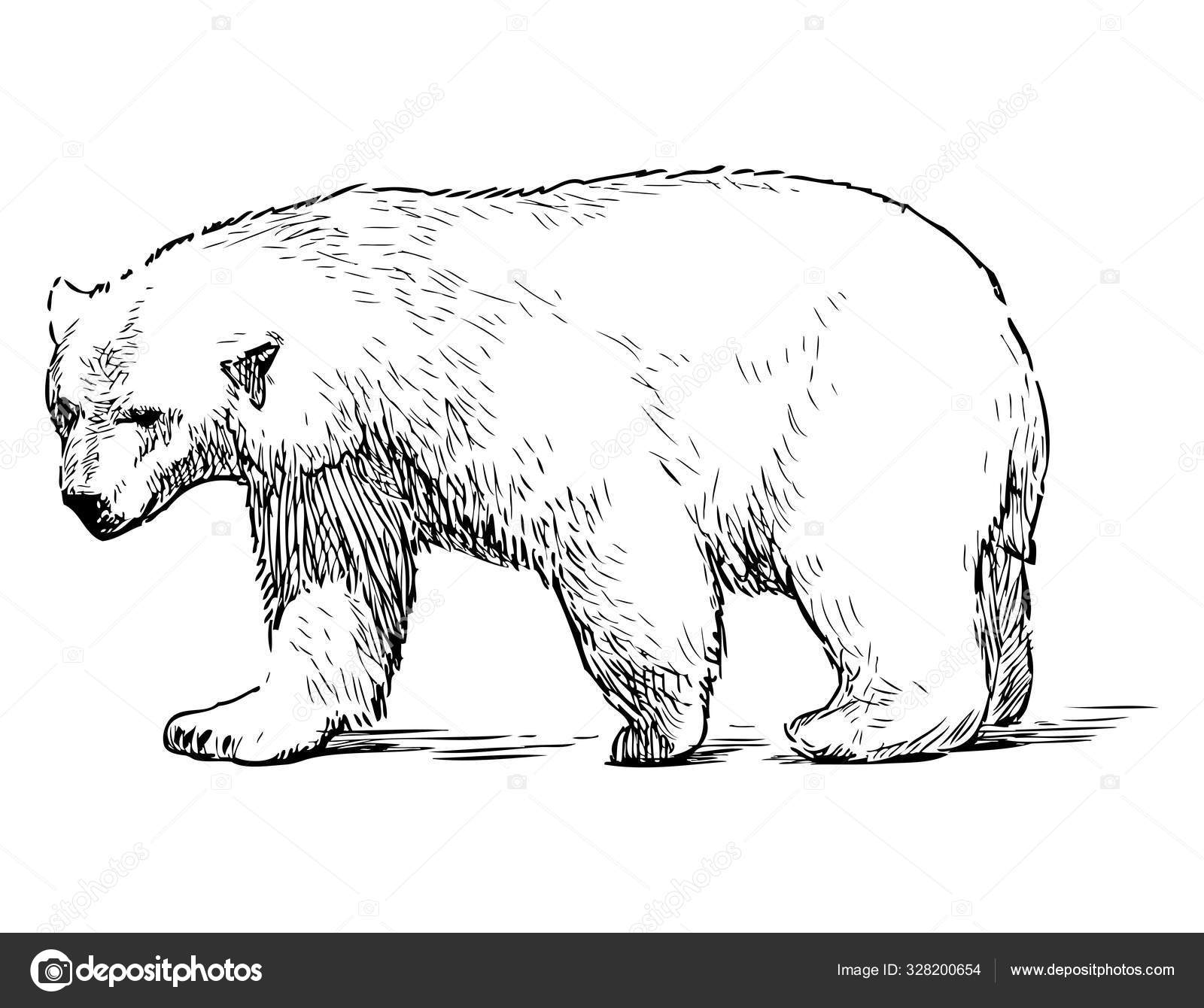 Svalbard Museum - Svalbard Museum telah menambah foto baru, image size:1600x1340