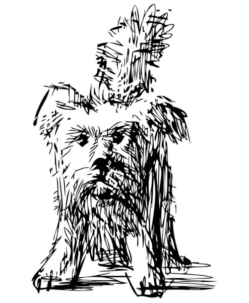 Freehand Drawing Funny Shaggy Lap Dog — 스톡 벡터