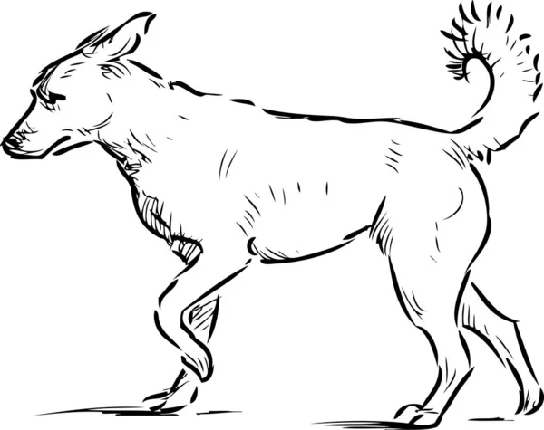 Outline Sketch Walking Guard Dog — Stock Vector