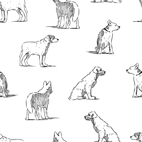 概要のシームレスな背景様々なガード犬 — ストックベクタ
