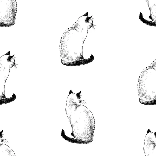 Seamless Pattern Sketches Sitting Siamese Cats — Stock Vector