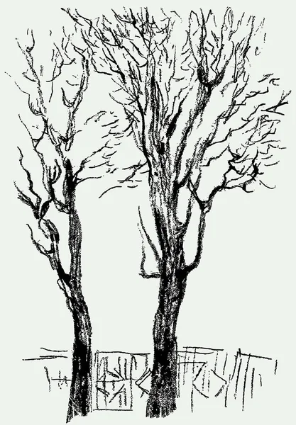 Ескізи Силуетів Дерев Міському Зимовому Парку — стоковий вектор