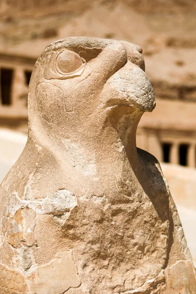Staue of Horus, Queen Hatshepsut Temple, Egypt — Stock Photo, Image