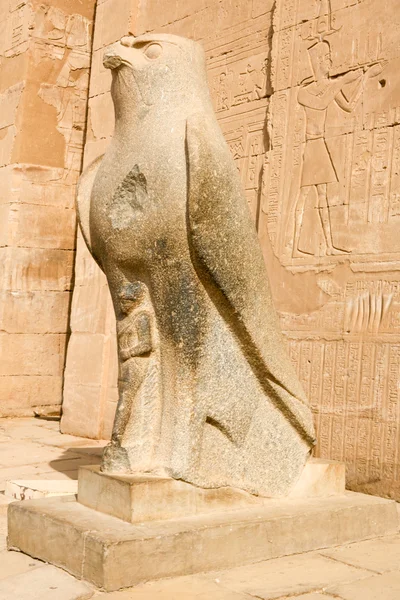 Standbeeld van Horus in Edfu, Egypte — Stockfoto