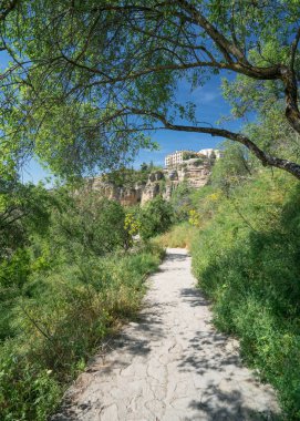 Ronda, Andalucia, Spain
