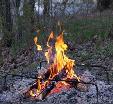 Bir piknik ormanda bir kamp ateşi ile.