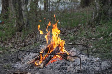 Bir piknik ormanda bir kamp ateşi ile.