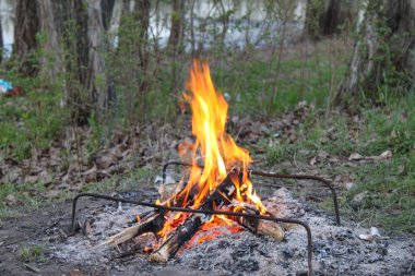 Bir piknik ormanda bir kamp ateşi ile.