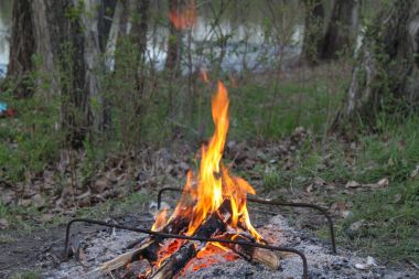 Bir piknik ormanda bir kamp ateşi ile.