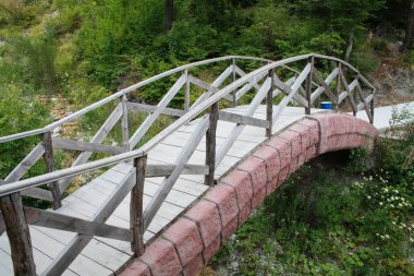 Dağların arasından köprü. Evergreen Ormanı.